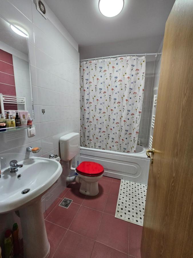 Elena'S Studio Brasov Coresi Dış mekan fotoğraf